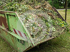 Green cut in the container