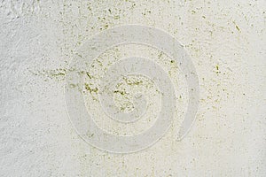 Green Decayed Rough Stone Plaster Texture with Patterns