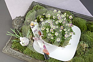 Green decoration with moss, flowers and tableware