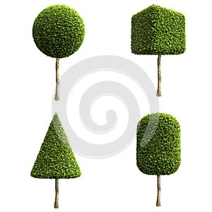 Grün dekorativ Gebüsch oder Bäume 