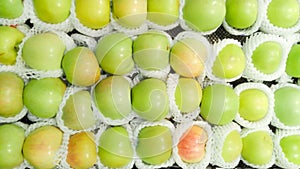 Green delicious apples wrapped with foam mesh that are placed for sale in the market, Chemical-free fruit. Close up.