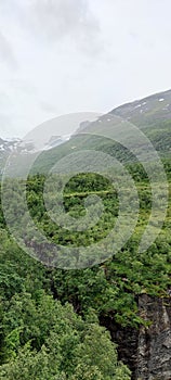 Green dense forest on Akerneset mountain under cloudy sky in More og Romsdal, Norway. Vertical shot