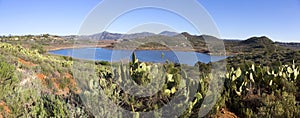 Green Desert Cactus Field and Scenic Blue Lake Hodges photo