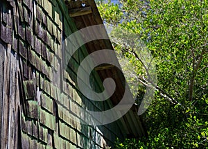 Green details of a house in Hawi photo