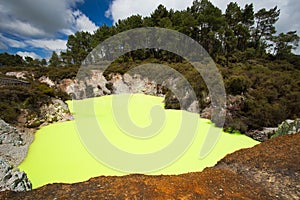 Green Devil`s Bath Pool at Wai-O-Tapu Geothermal Area near Rotorua, New Zealand