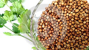 Green dhania a bowl of dry coriander