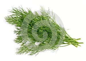 Green dill