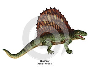 Green Dimetrodon illustration.