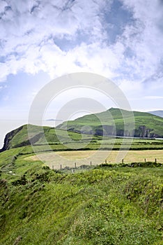 Green dingle peninsula on the wild atlantic way