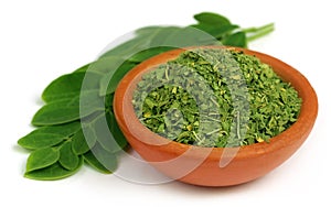 Green and dired moringa leaves