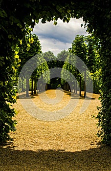 Green doorway SchÃ¶nbrunn garden