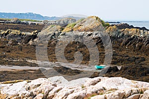 Green Dory beached at low tide