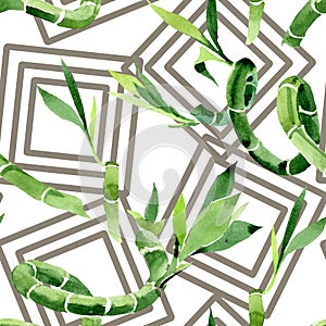 Green Draceana Sanderiana. Watercolor background illustration set. Seamless background pattern.