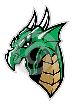 Green dragon head mascot photo