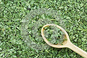 Verde seco común ortiga hojas sobre el de madera cuchara sobre el hacer caliente su 