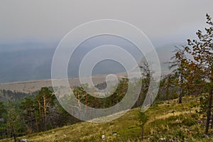 Green dry trees after a fire stand against the background of the shore of lake Baikal in fog, smoke, in warm light