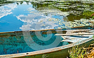 Green duckweed slime and boat on the swamp