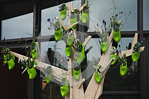 Green dutch wooden shoes with flowers inside on the wall