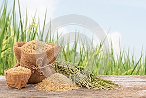 Green ears of rice and seeds on am old wood table isolated on nature background with clipping path