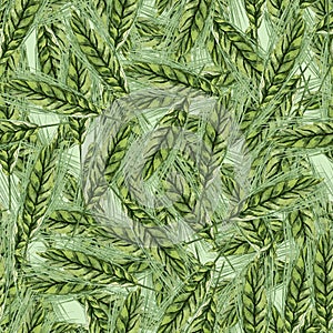 Green ears of wheat harvest watercolor seamless pattern