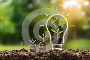 Green Earth symbol on light bulb with coin stacks and plants, representing environmental and economic growth