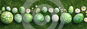 Green Easter Egg Hunt on Lush Grass, Springtime Celebration with Painted Eggs and Daisies