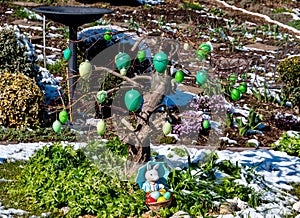 Green Easter eggs with Easter bunny with snow