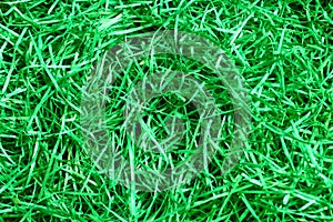 Green easter grass