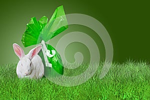 Green Easter on grass