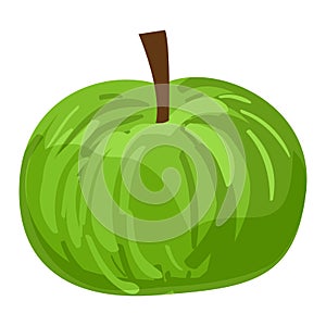 Green eco apple icon, cartoon style