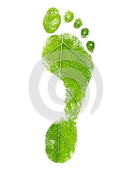 Green eco footprint. Leaf design.