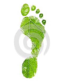 Green eco footprint. Leaf design. photo