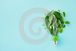 Green eco friendly lightbulb from fresh leaves top view. Energy saving, ecology and environment sustainable resources conservation