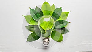 Green eco friendly lightbulb from fresh leaves top view. Energy saving, ecology and environment sustainable resources conservation