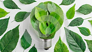 Green eco friendly lightbulb from fresh leaves top view. Energy saving, ecology and environment sustainable resources conservation