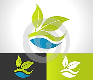 Green Eco Leaf Icon