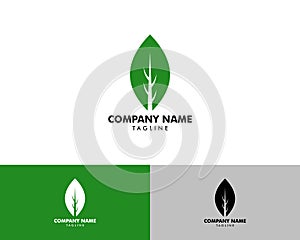 Green Eco Leaf Vector Logo Icon Design Template illustration