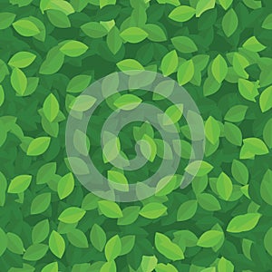 Green eco leaves seamless background