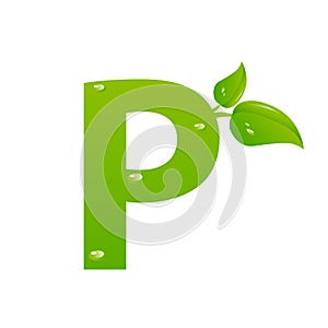 Green eco letter P