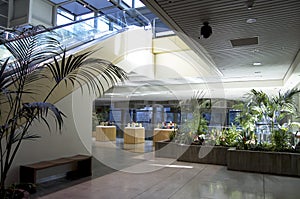 Green eco office building interiors natural light