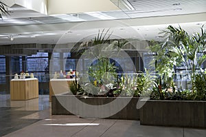 Green eco office building interiors natural light