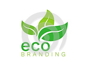 Green eco organic leaf logo flat design nature vector