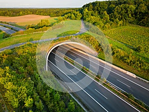 Green ecoduct over an empty highway during sunset