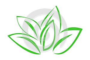 Green ecology concept icon with leaf for your design