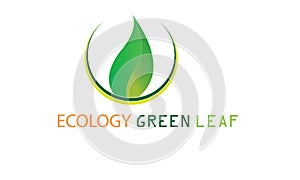 Green Ecology Leaf Logo Template - Green Fresh Health Eco Logotype Organic Food Natural Health Care