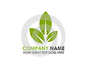 Green Ecology Leaf Logo Template - Green Fresh Health Eco Logotype Organic Food Natural Health Care