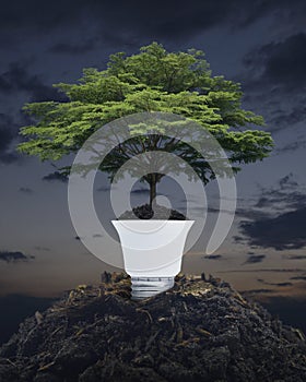 Green ecology and saving energy concept