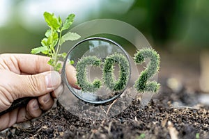 Green Economy and Sustainable Development: a pathway to reducing carbon footprints, rationalizing resource use and