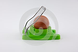 Green egg cutter with a boiled egg