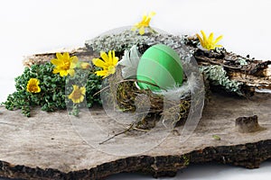 Green egg in nest and yellow flowers